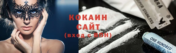 дживик Арсеньев