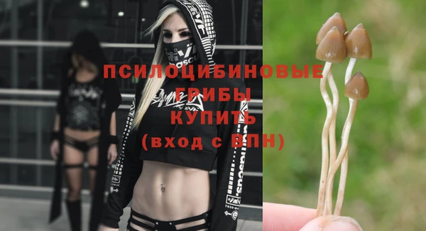 винт Армянск