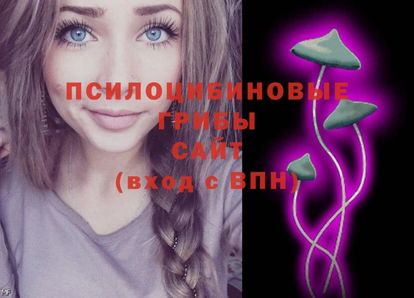 винт Армянск