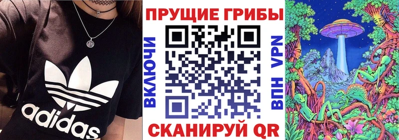 блэк спрут как войти  Советская Гавань  Галлюциногенные грибы прущие грибы 
