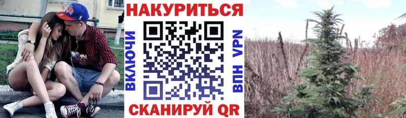 купить наркотик Советская Гавань Марихуана VHQ